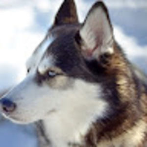 Meet your Posher, Mig